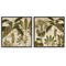 Stupell Industries Vintage Botanical Tropics 2pc Framed Giclee Wall Art Set Design by Chris Donovan